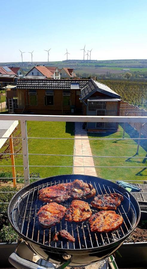 Ferienwohnung Ha-Wei -80 M2 Hangen-Weisheim Dış mekan fotoğraf