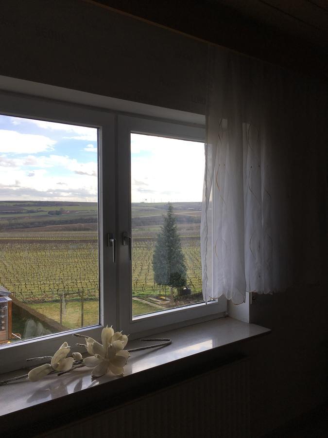 Ferienwohnung Ha-Wei -80 M2 Hangen-Weisheim Dış mekan fotoğraf